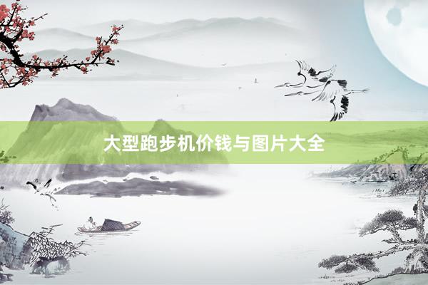 大型跑步机价钱与图片大全